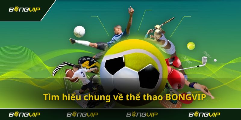 Bongvip - Tổng quan về nhà cái cá cược thể thao hàng đầu